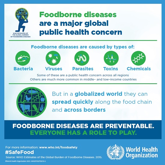 Foodborne diseases are a major global public health concern infographics