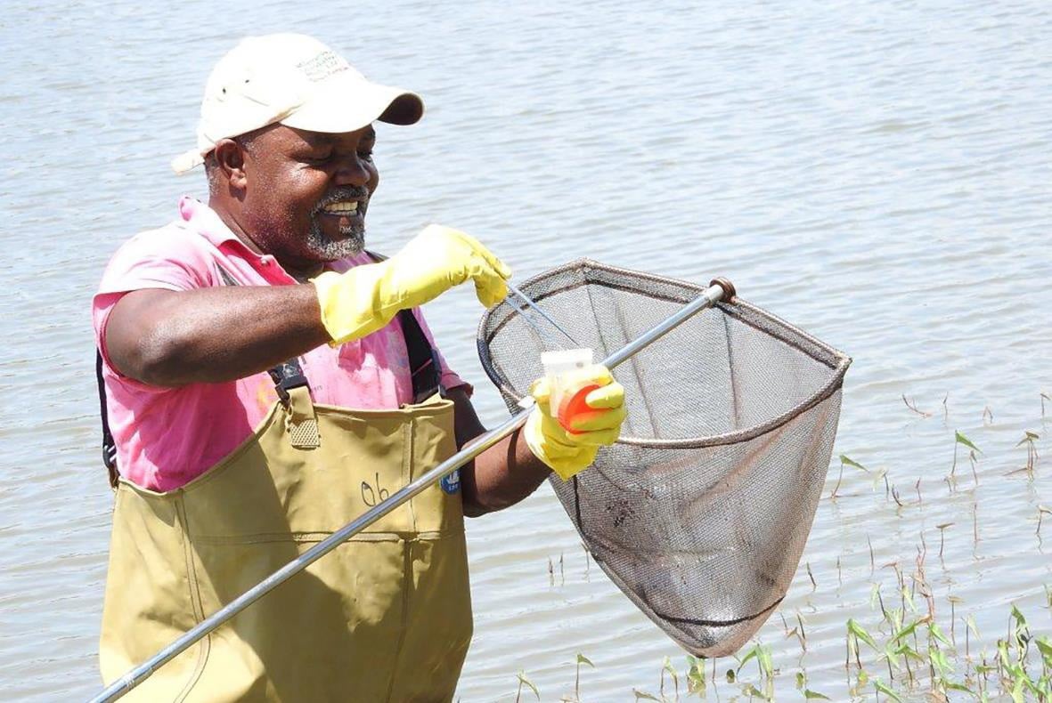 Field worker demonstrating how to search for and scoop snails to monitor snails' population and infectivity after some rounds of mollusciciding.