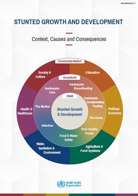 Childhood Stunting: Context, Causes and Consequences