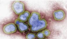 severeacuterespiratory