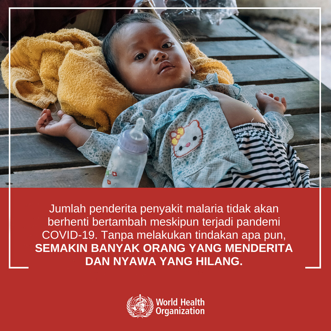 The toll of malaria -BI