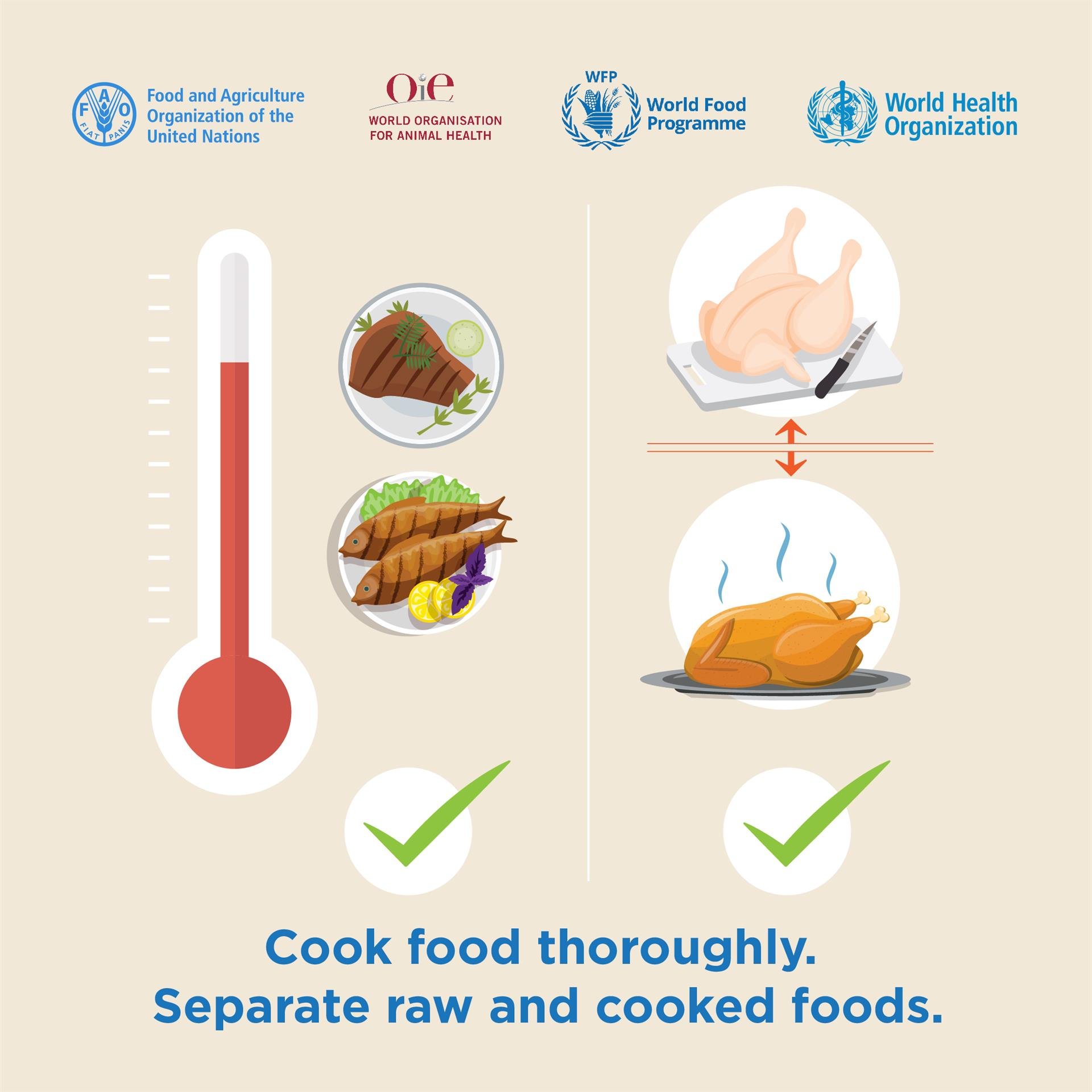 200511_FAO_Social media_Instagram_V19_no4