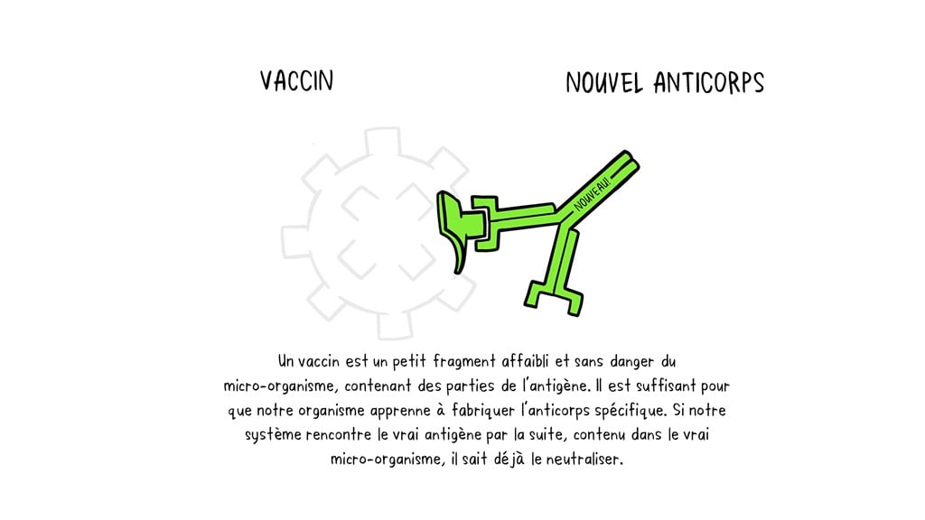 Vaccines Antibody illustration 02_29 Oct