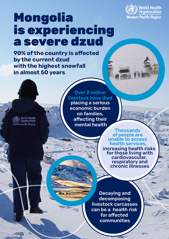 Impact of dzud in Mongolia